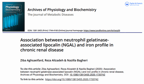 Association between neutrophil gelatinase-associated lipocalin (NGAL) and iron profile in chronic renal disease